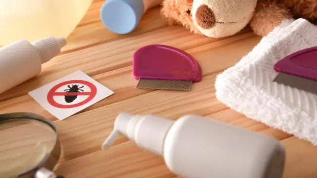 Skuteczne sposoby na pozbycie się wszy u dziecka bez stresu