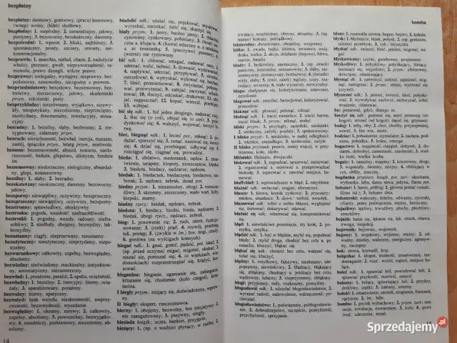 Słownik bliskoznaczny – wzbogac swoje słownictwo i unikaj powtórzeń