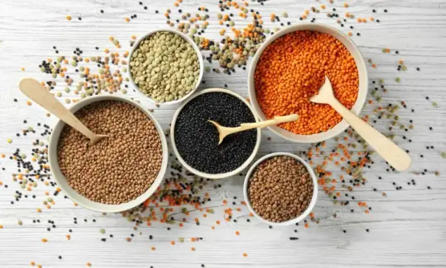 Czy soczewica jest dietetyczna? Odkryj jej niezwykłe korzyści zdrowotne