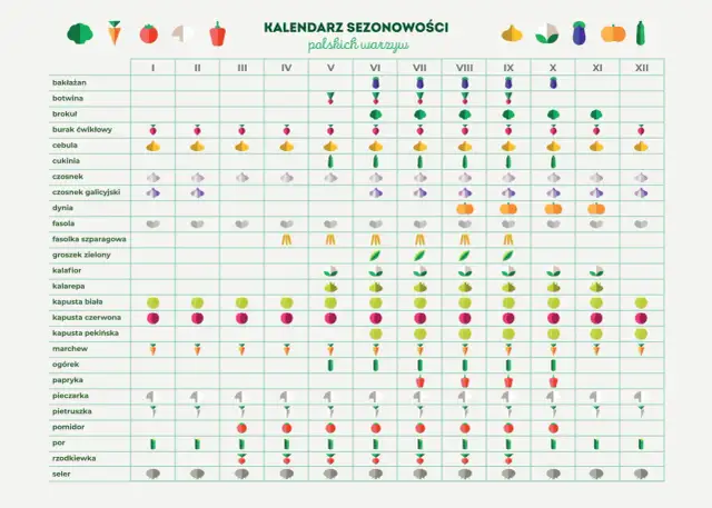 Kalendarz sezonowości polskich warzyw z ikonami warzyw i miesiącami.