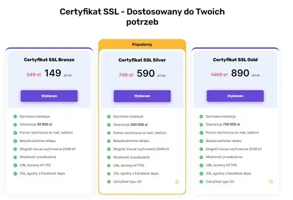 Jak stworzyć sklep internetowy? Wybór platformy, koszty, prawo