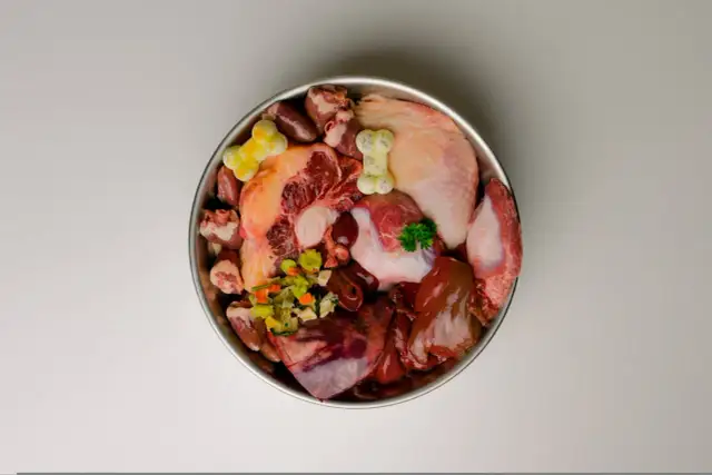 Surowe czy gotowane mięso dla szczeniaka? Jak podjąć najlepszą decyzję?