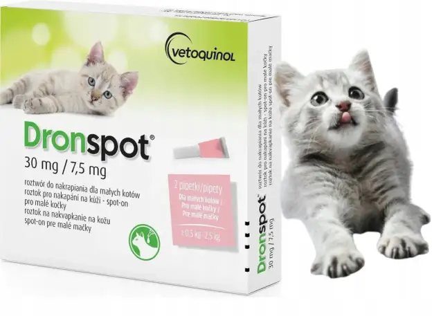 Odrobaczanie kota: Kompletny kalendarz dla zdrowego mruczka