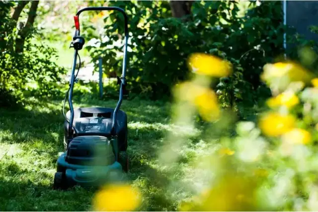 Jakie paliwo do kosiarki z olejem czy bez? Kluczowe różnice w silnikach