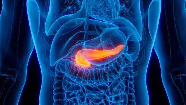 Bauchspeicheldrüsenkrebs: Ab wann Vorsorge für Risikogruppen?