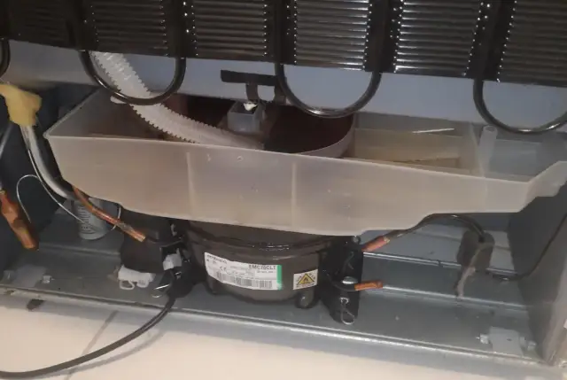 Widok wnętrza lodówki Whirlpool z widocznym kompresorem i tacą skraplacza.