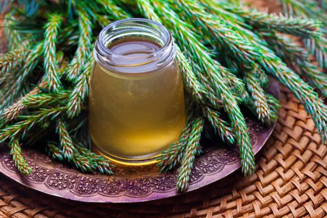 Syrop z sosny - czy znasz ten domowy lek? Właściwości, przepis, dawkowanie.