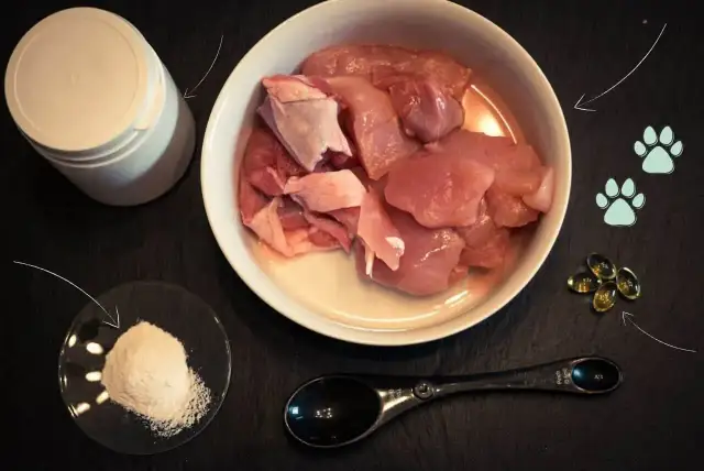 Kości dla kota: Gotowane to śmierć, surowe z zasadami!