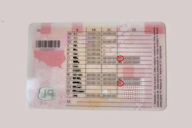 Czy brak świadectwa kwalifikacji zawodowej kierowcy może zrujnować karierę? Wszystko, co musisz wiedzieć