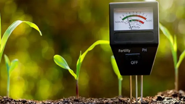 Jak zmierzyć pH gleby? Proste metody, które dają dokładne wyniki