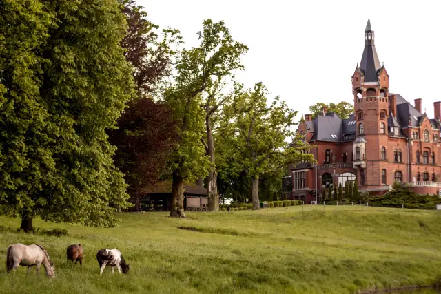 Najlepsze stadniny koni w Poznaniu - lekcje, oferty i wydarzenia