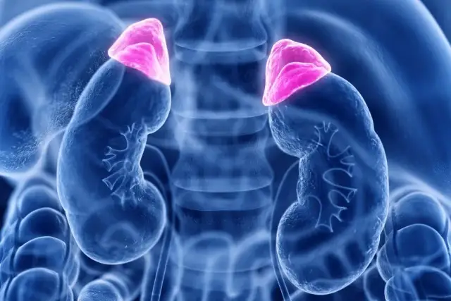 Objawy niskiego kortyzolu: 6 sygnałów, których nie można przeoczyć