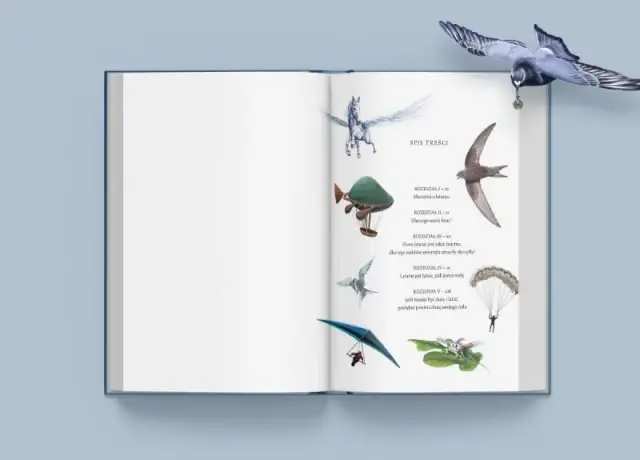 Fascynujące książki dla miłośników lotnictwa - Top rekomendacje