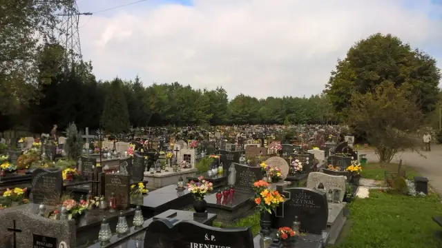 Jak dojechać na cmentarz Salwator w Krakowie - uniknij korków w Święto Zmarłych