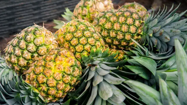 Ananas uczula? Odróżnij alergię od podrażnienia bromelainą