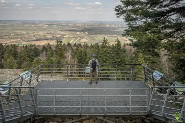 Góry Świętokrzyskie: Ile km szlaków? Planuj wędrówkę z ekspertem!