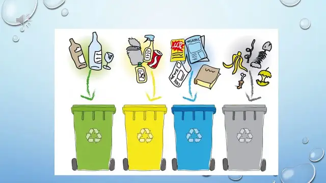 Jak przygotować prezentację o ekologii: przykładowy plan i wskazówki