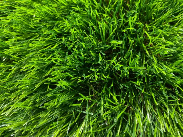 Sztuczna trawa: Rodzaje, zastosowania i najlepsze opcje