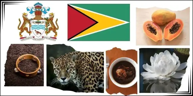 Jak wygląda flaga Gujany? Odkryj jej wyjątkowe symbole i znaczenie