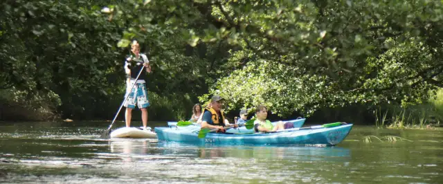 Bory Tucholskie: Jednodniowy spływ kajakowy? Planuj z ekspertem!