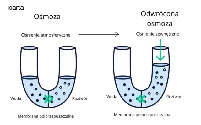 Osmoza: Co to jest? Zrozum kluczowy proces w życiu i naturze