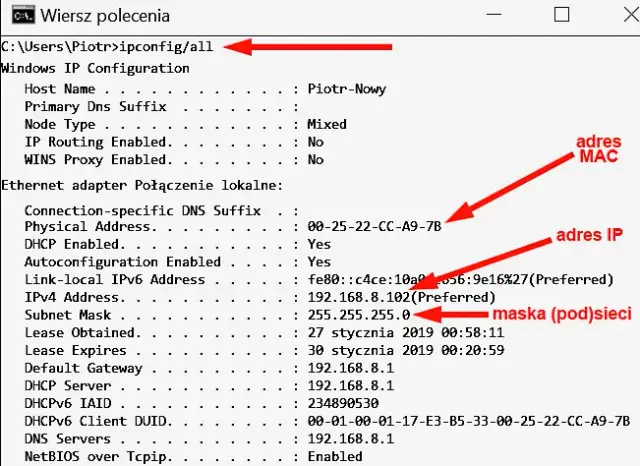 Co to jest host sieci: kluczowe informacje o jego roli i funkcjach