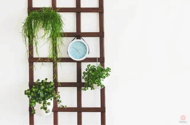 Kwietnik na ścianę DIY: Stwórz zieloną oazę krok po kroku!