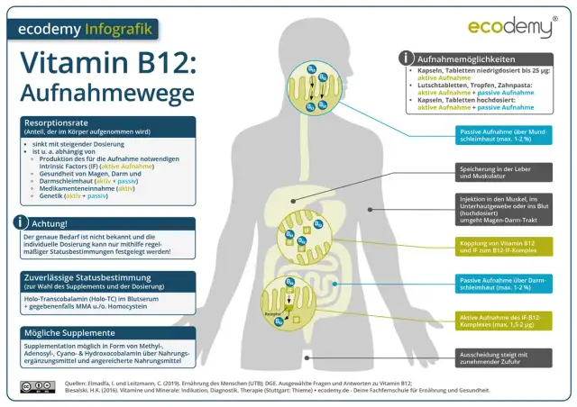 Wichtige Informationen zur Vitamin B12 Ergänzung für Ihre Gesundheit