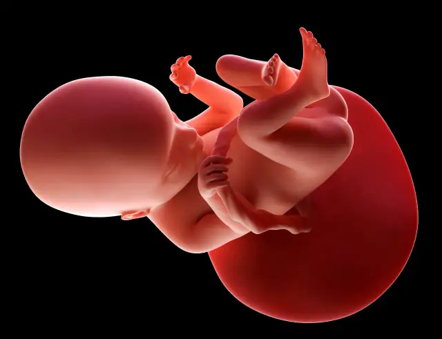 Ciąża i PTC: 18 dni nadziei? Jak odczytać wczesne sygnały