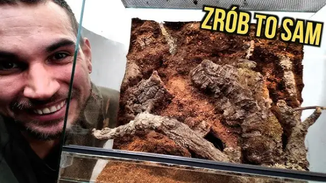 Jak zrobić tło do terrarium: proste metody i materiały, które zaskoczą