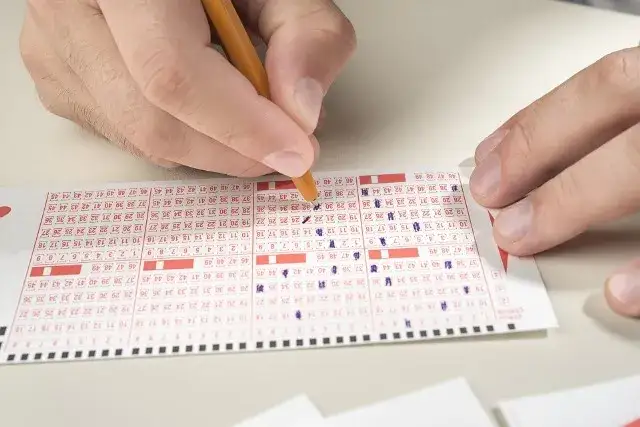 Ile idzie przelew z Lotto online? Sprawdź czas wypłaty wygranej