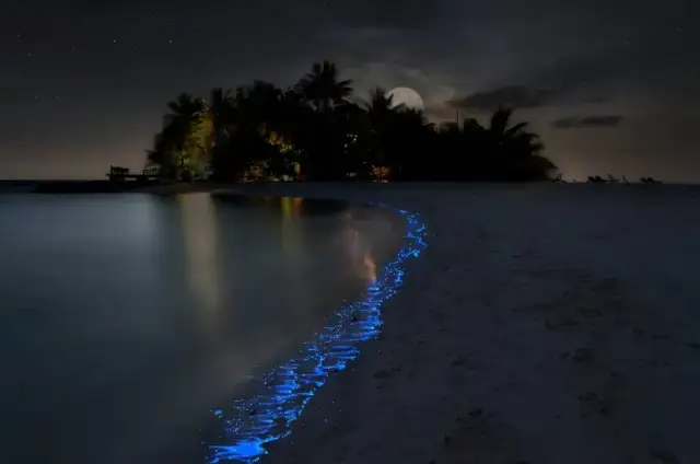 Morze gwiazd gdzie jest: najlepsze miejsca na Malediwach do zobaczenia