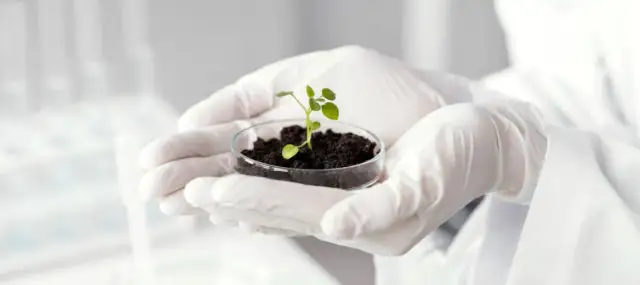 Jakie studia po maturze z biologii? Odkryj najlepsze kierunki i zawody