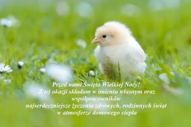 Idealne życzenia wielkanocne na Messenger? Skopiuj i zaskocz!