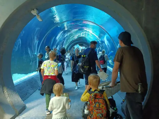 Oceanarium w Łodzi - Fascynujące atrakcje i edukacja dla każdego