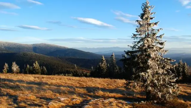 Najpiękniejsze miejsca w Beskidzie Żywieckim, które musisz zobaczyć
