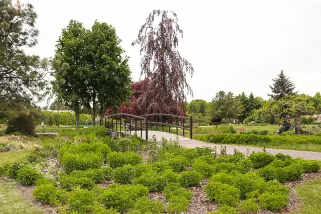 Kiedy najlepiej jechać do Powsina? Sprawdź idealny termin na wycieczkę!