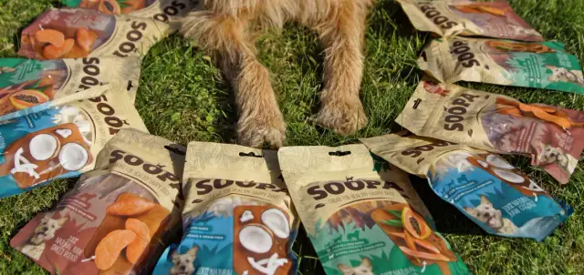 Suszone morele dla psa? Dlaczego mówimy "nie" i co robić.