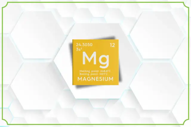 Żółta tabliczka z symbolem Mg, informacją o magnezie i jego temperaturach topnienia/wrzenia. Treonian magnezu lek.