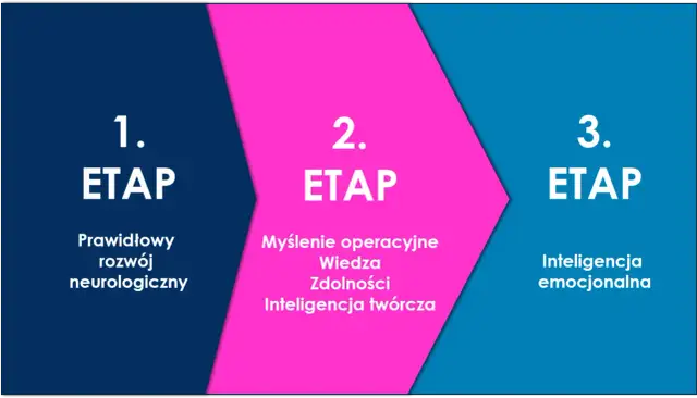 Diagram przedstawiający 3 etapy rozwoju: 1. Prawidłowy rozwój neurologiczny, 2. Myślenie operacyjne, wiedza, zdolności, inteligencja twórcza, 3. Inteligencja emocjonalna.