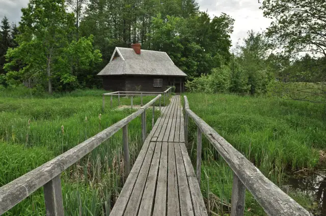 Atrakcje w Białowieży: Odkryj niezwykłe miejsca w sercu Puszczy