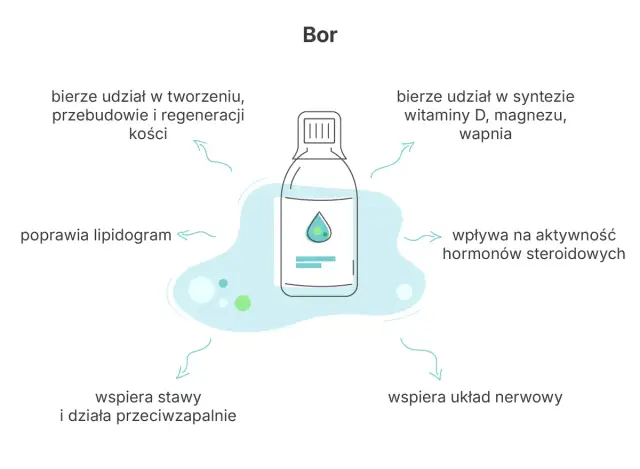 Bor na co pomaga - Czy suplementacja stawów i kości ma sens?