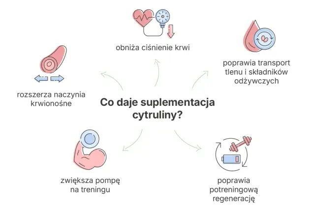 Cytrulina przed treningiem: Jak zwiększyć pompę i wytrzymałość?