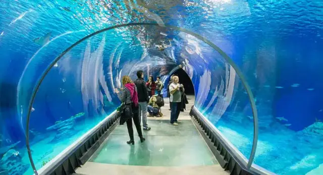 Oceanarium Warszawa: Dlaczego nie znajdziesz tu żywych organizmów?