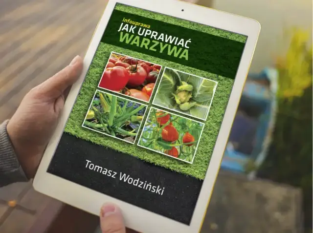 Jak uprawiać warzywa Tomasza Wodzińskiego - proste sposoby na sukces w ogrodzie