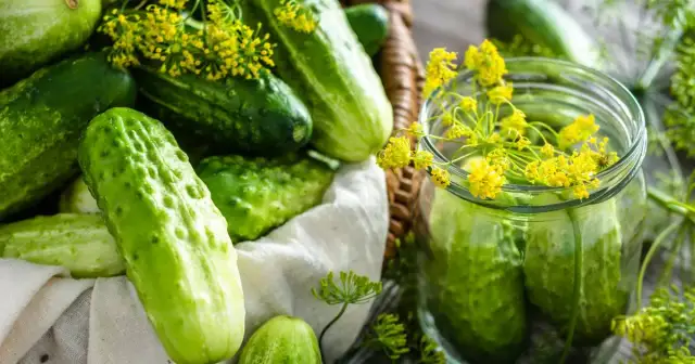 Czy dodawać gorczycę do ogórków kiszonych? Oto, co musisz wiedzieć