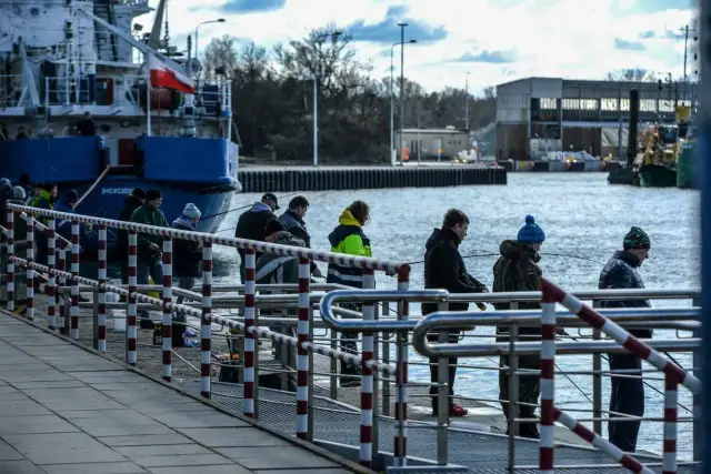 Kiedy łowić śledzie w Bałtyku? Odkryj najlepsze czasy i miejsca