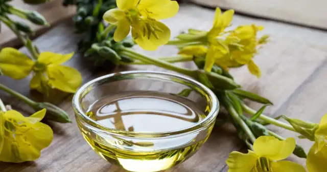 Wiesiołek na co? Na zdrowie! Złocisty olej z wiesiołka w szklanej miseczce, otoczony jego żółtymi kwiatami.