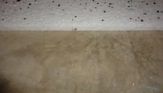 Ile schnie wylewka betonowa? Ekspert radzi, jak przyspieszyć!