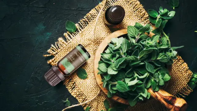 Olejek oregano: Domowy antybiotyk? Na co pomaga i jak go używać?